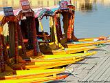 Shikare sul lago Dal7